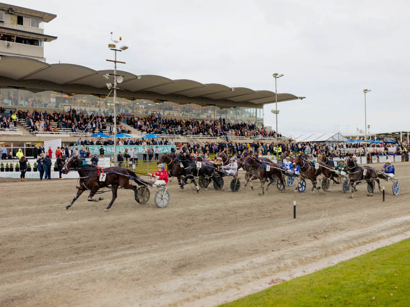Cambridge Raceway venue catered by Kerr and Ladbrook